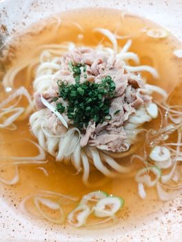 Close-up of udon noodles in savory broth topped with sliced meat and chives.
