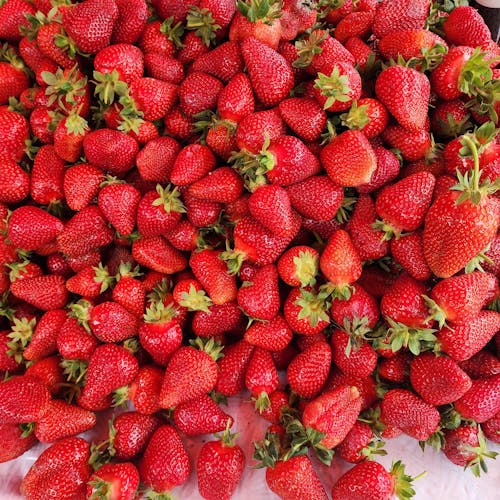 Fotos de stock gratuitas de fresas, fruta fresca, frutas