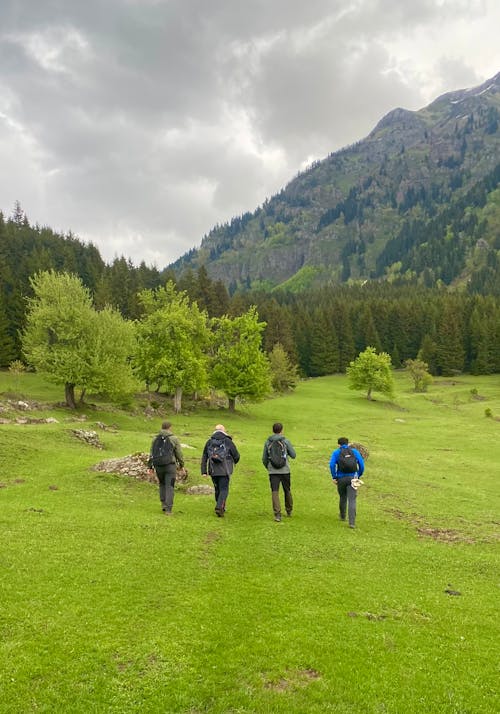 Four people walking through a grassy field with mountains in the background