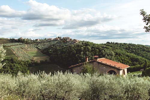 Tuscan Landscape