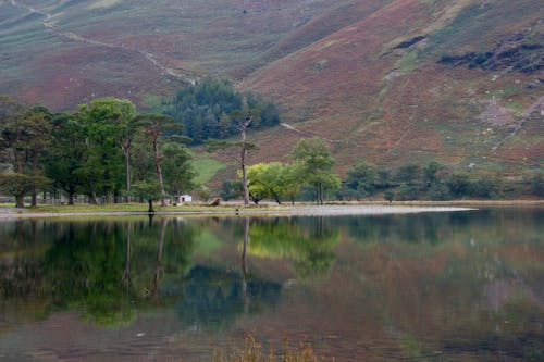 The reflection of the trees creating a mirrored image in a lake in Lake  district, england