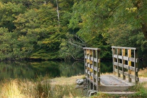 A wooden bridge by the lake in lake district, england