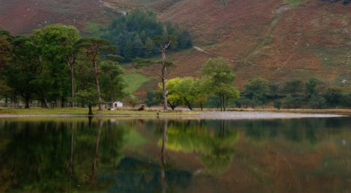 Základová fotografie zdarma na téma anglická jezera, anglická krajina, anglická příroda