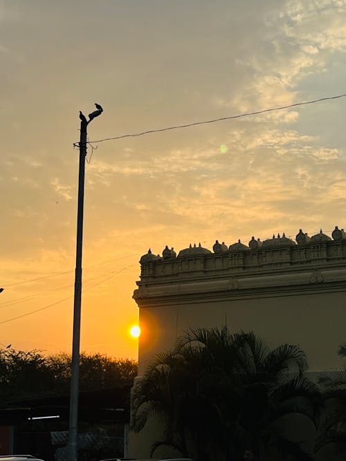 Temple mornings 