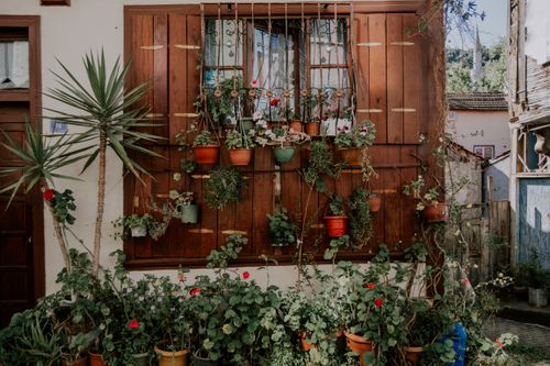 Free Rustic wooden house exterior decorated with potted plants and flowers, creating a vibrant garden vibe. Stock Photo