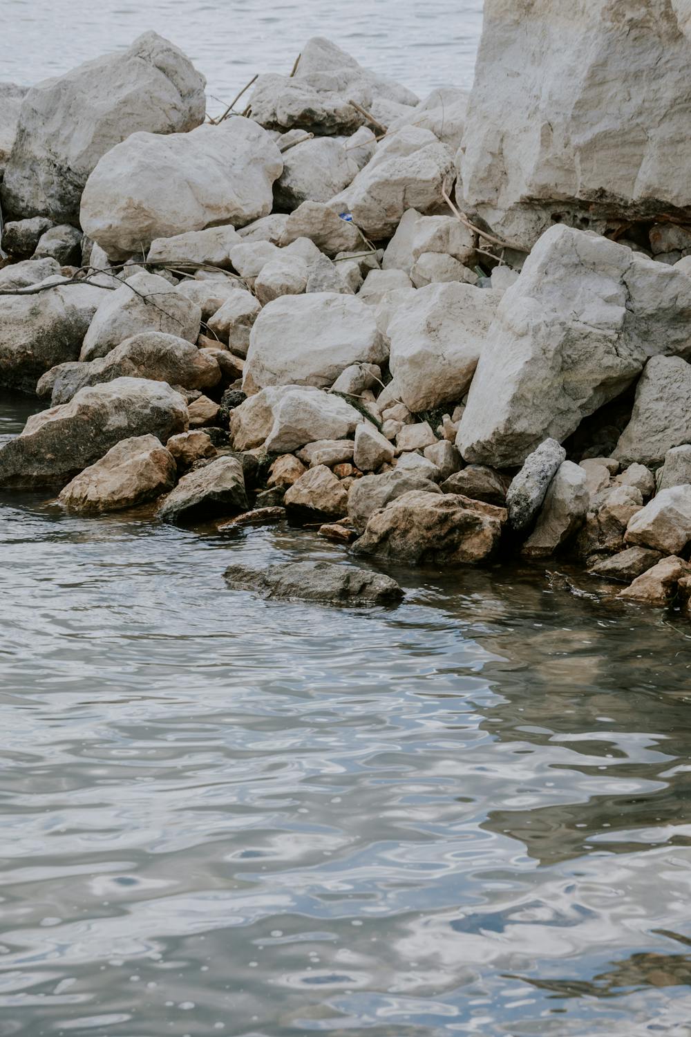 Lakeshore Rocks and Boulders · Free Stock Photo