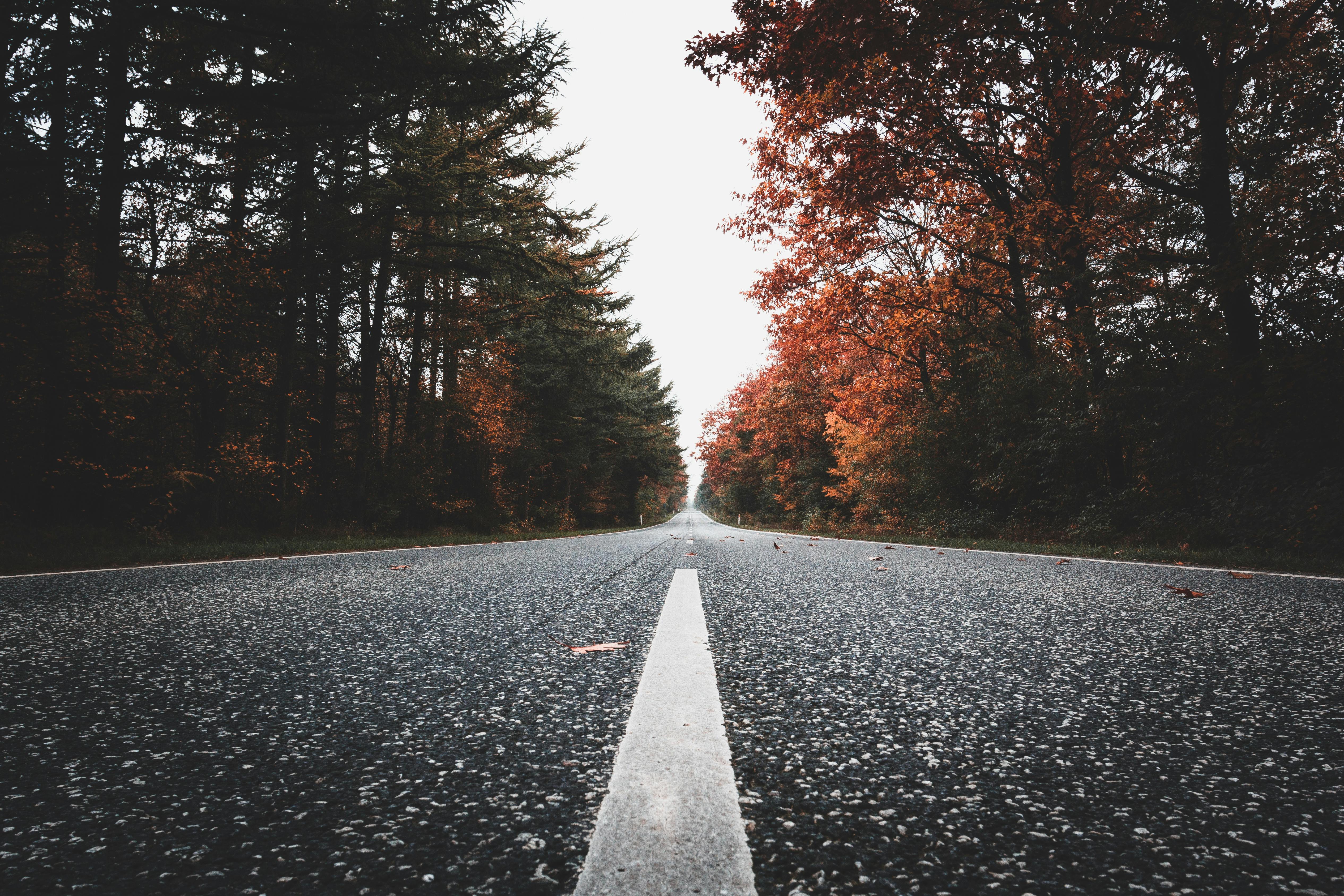 Photo of Road During Daytime · Free Stock Photo