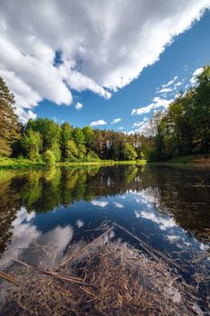 Calm lake reflecting a lush forest and clear sky, capturing nature's serenity and beauty.