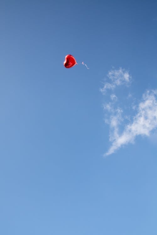 Photo of Heart-Shaped Balloon