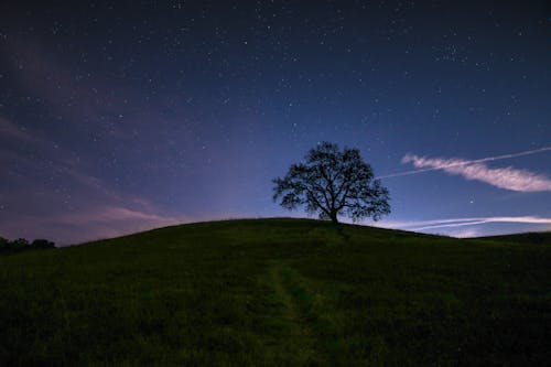 бесплатная Фотография травяного поля вечером Стоковое фото