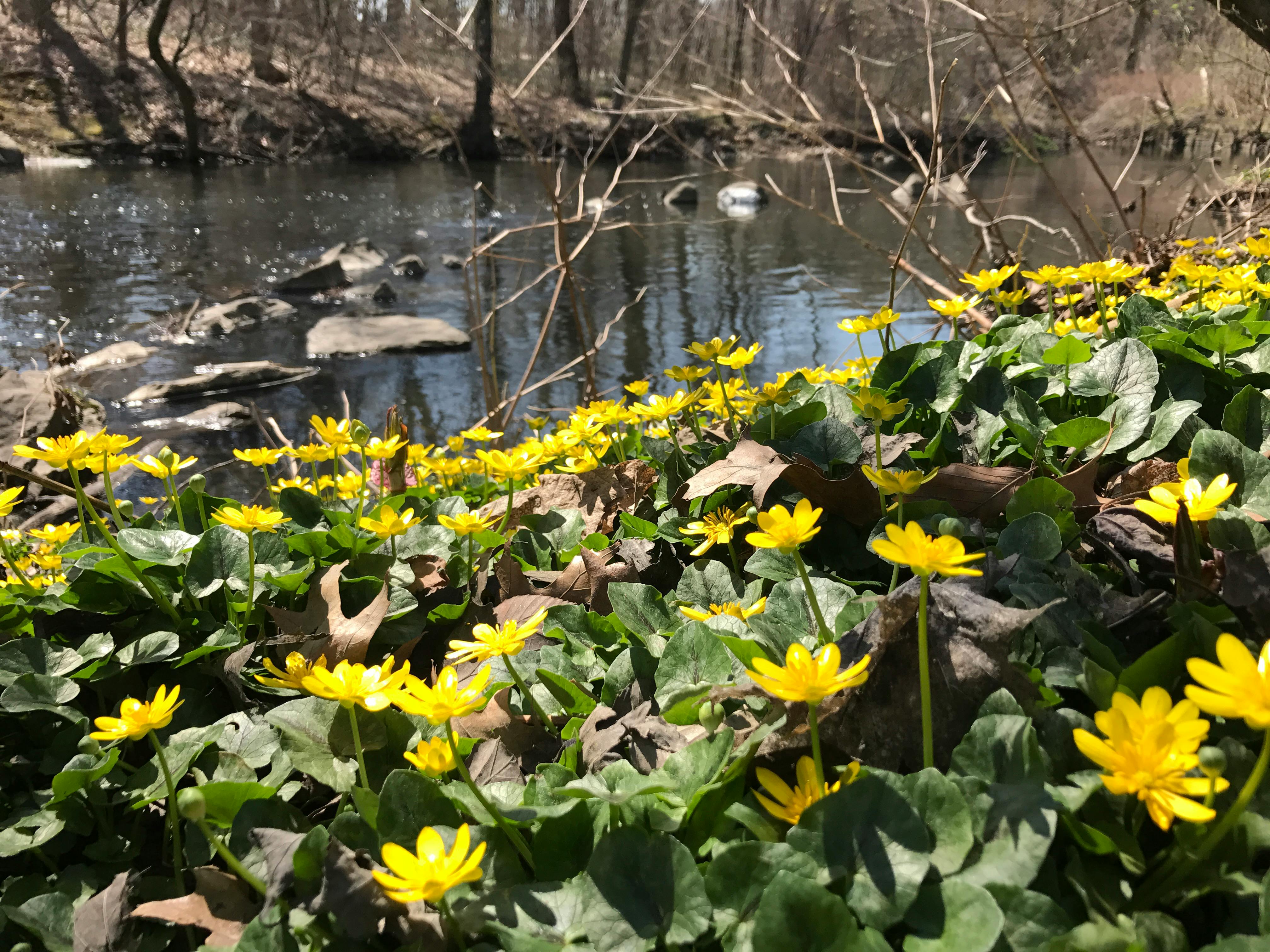 Sử dụng điểm thông minh