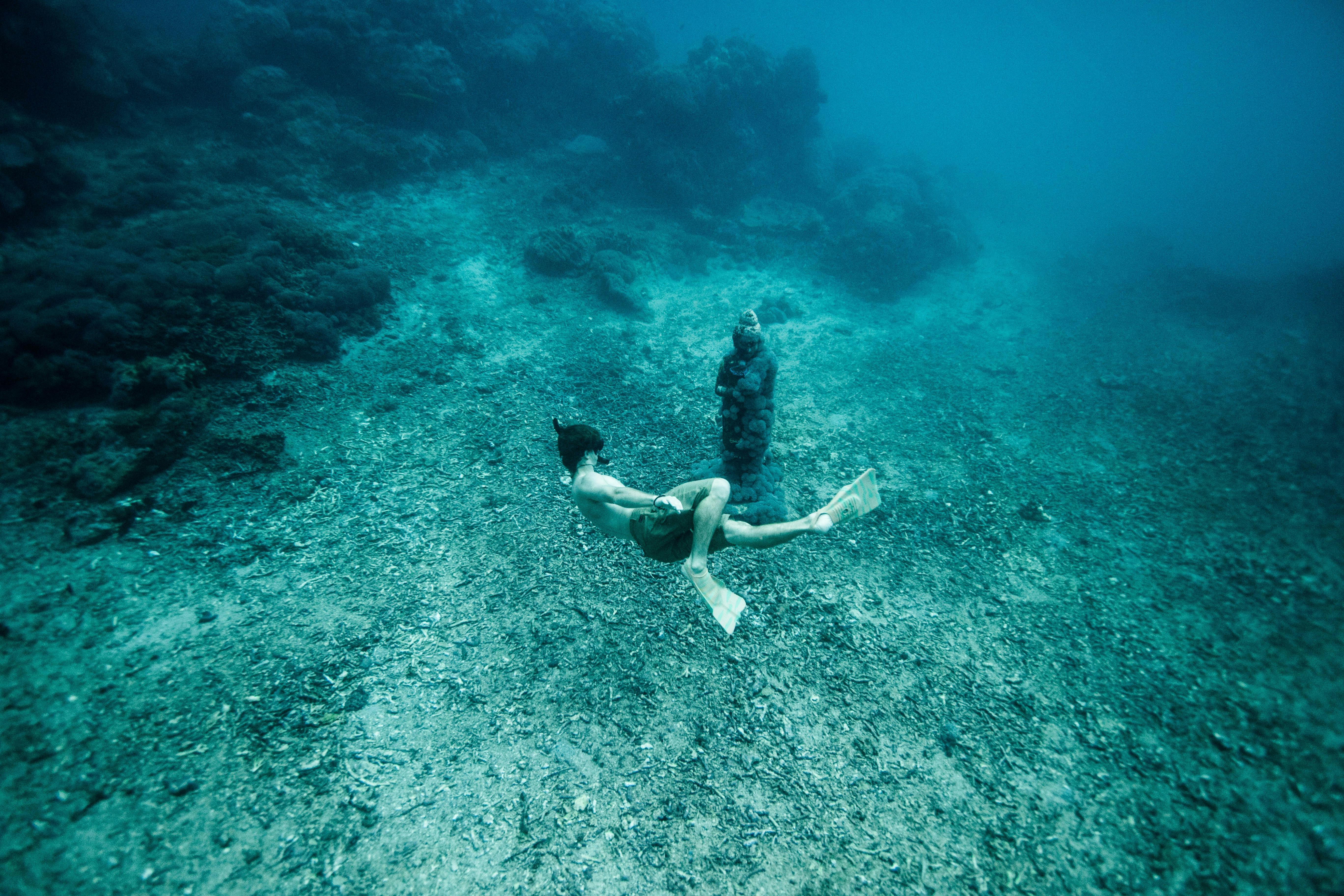 Snorkeling the Great Barrier Reef: Tips for an Underwater Adventure