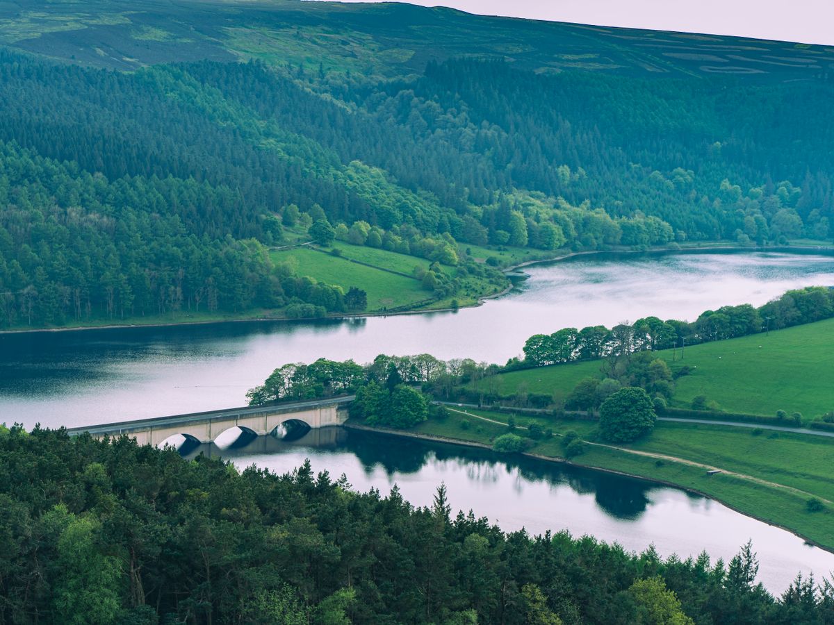 15 Day Wellness & Detox Retreat in the Beautiful Countryside, UK 3