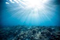 Underwater Photography of Ocean