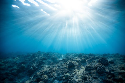 Underwater view of sunbeams illuminating a coral reef in Hawaii's crystal-clear ocean.
