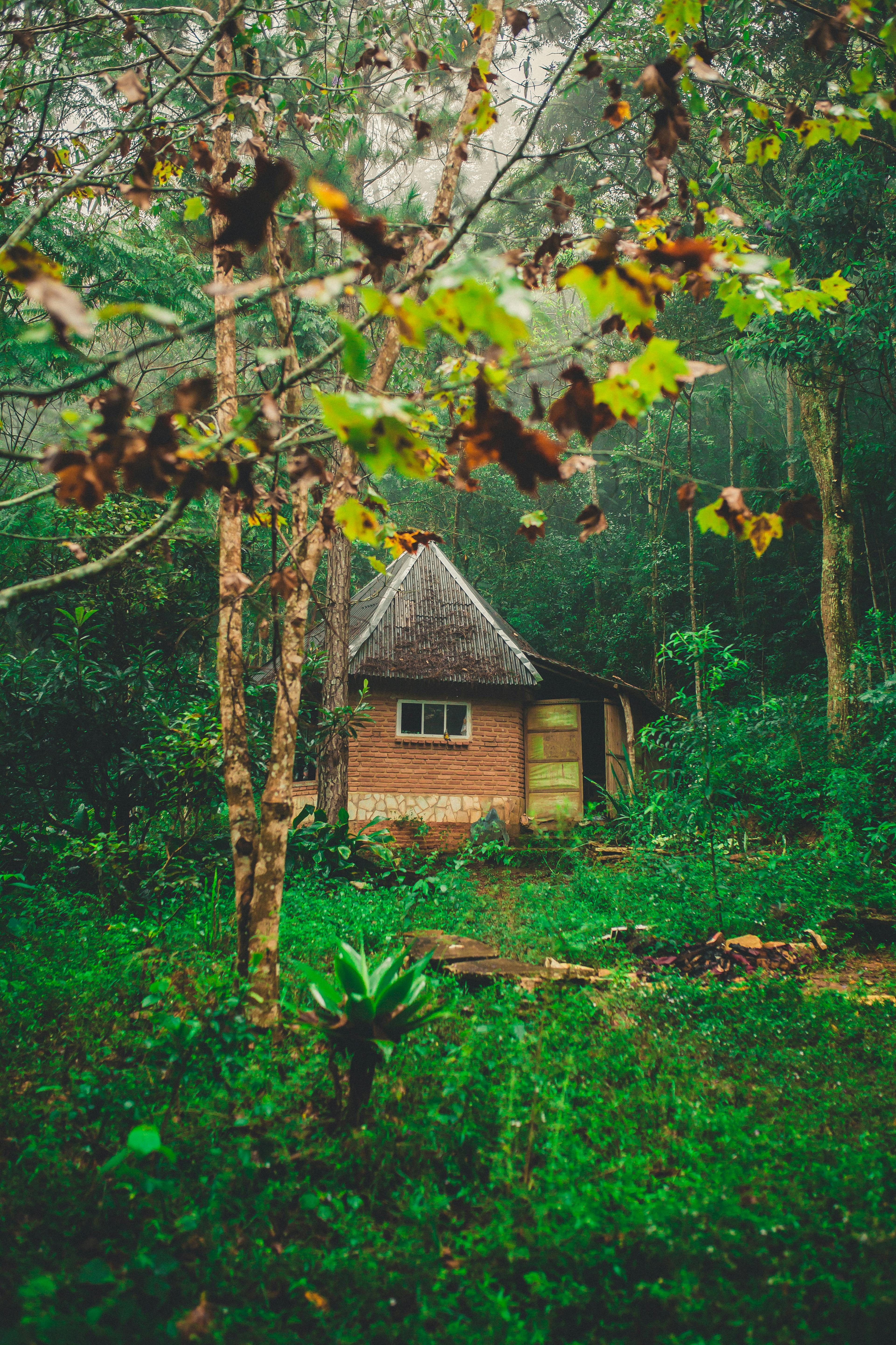 Brown Wooden House Surrounded By Trees · Free Stock Photo