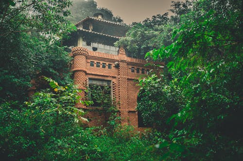 Brown Concrete Structure Surrounded by Trees