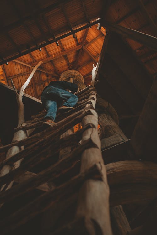 Unknown Person Climbing on Brown Wooden Ladder