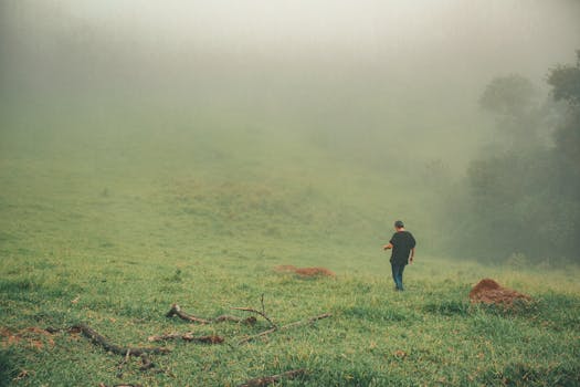 一个孤独的身影走过薄雾笼罩、绿意盎然的乡村田野