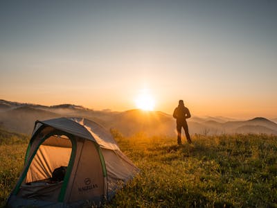 Premium Pet Nutrition Consultation