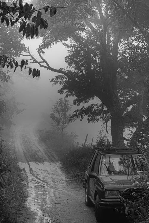 Grayscale Photo of Vehicle Beside Road