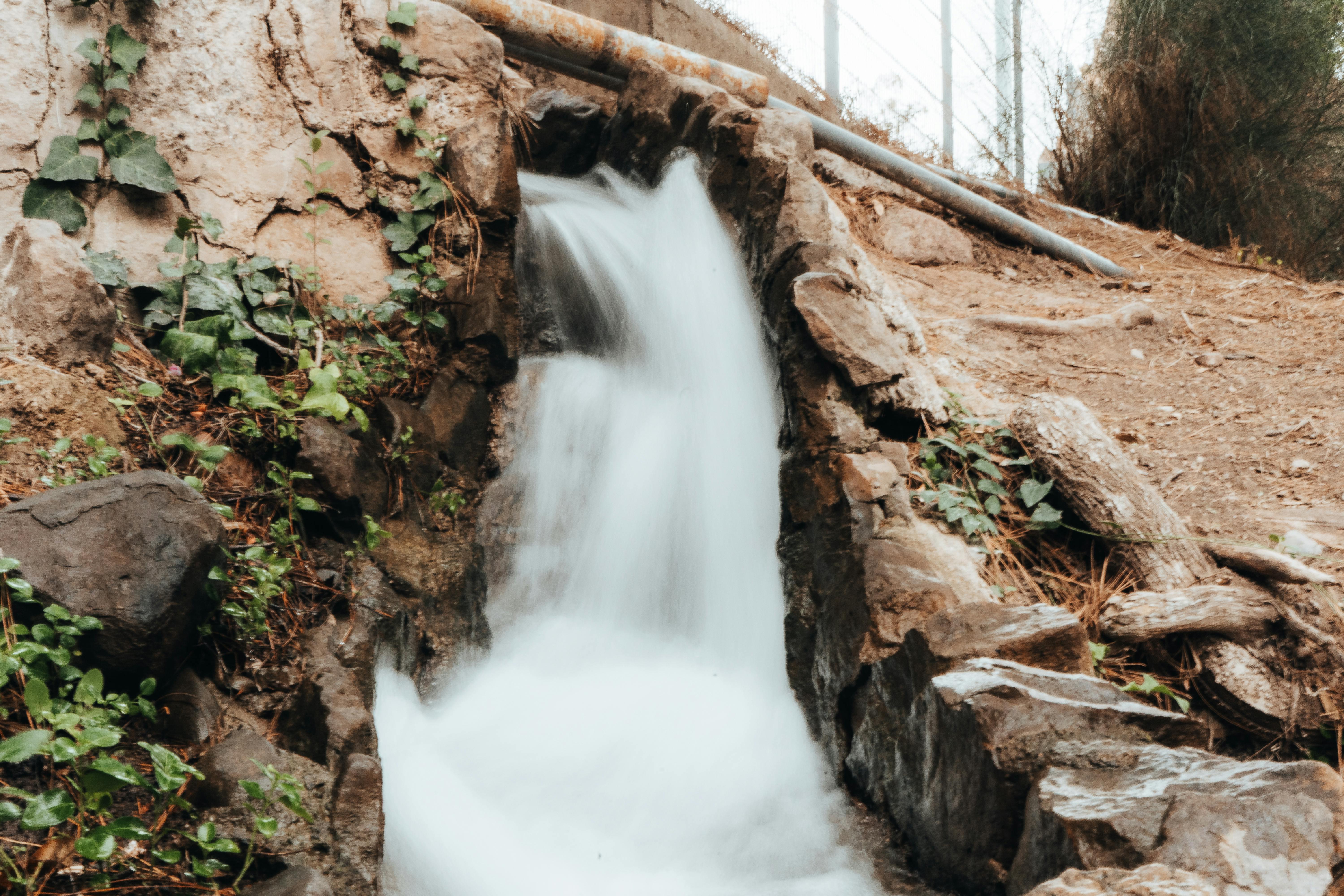 Drought Resilience and Water Conservation — Photo by Andres Alaniz on Pexels