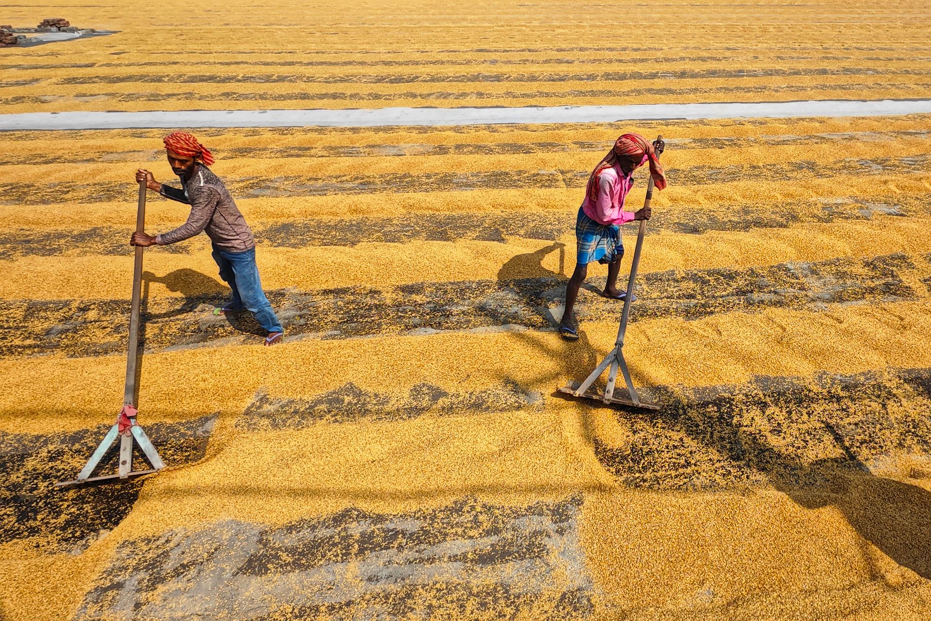 Farmers Working on Field