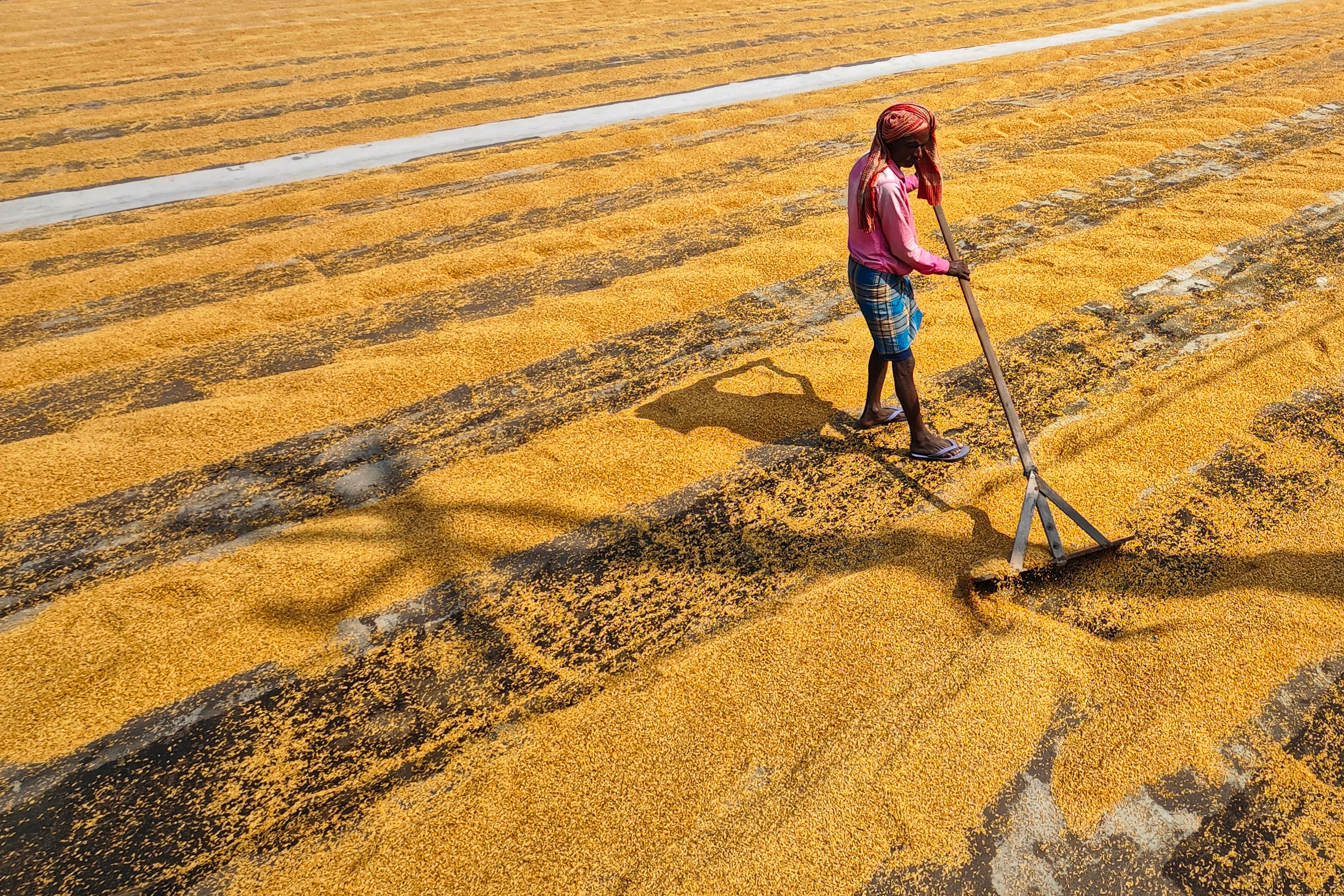 Biggest El Nino in ‘over a century’ to dial up global heat, India braces for double crop hit | World News news update image