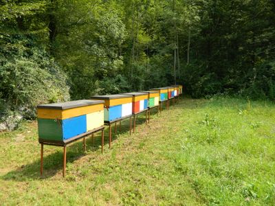 Honey & pantry