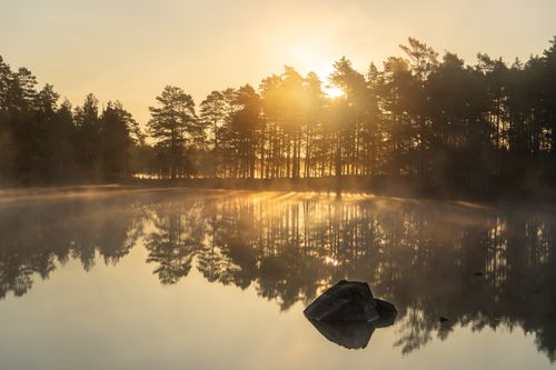 Free A tranquil scene of a misty lake reflecting a sunlit forest at sunrise. Stock Photo