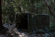 Abandoned Rustic Cabin