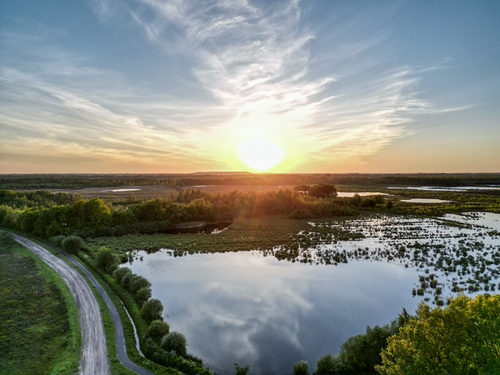 Free Stunning aerial view of wetlands at sunrise, showcasing nature's beauty and tranquility. Stock Photo