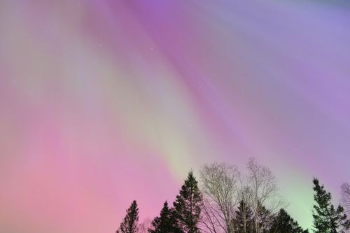 Free Colorful aurora borealis paints the night sky over a tranquil forest. Stock Photo
