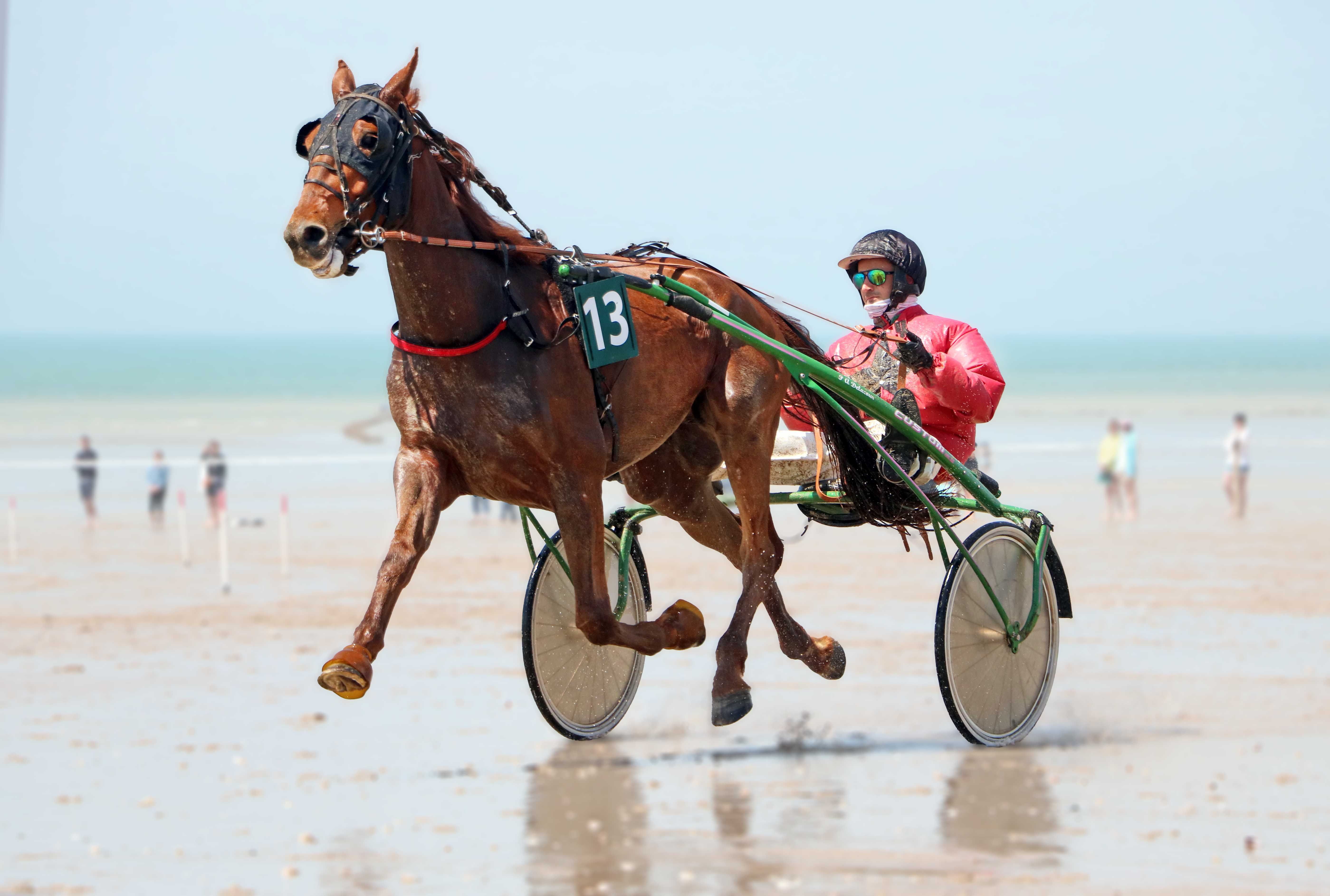 Exciting horse race on a sandy beach in Jullouville, Normandie on a sunny day.