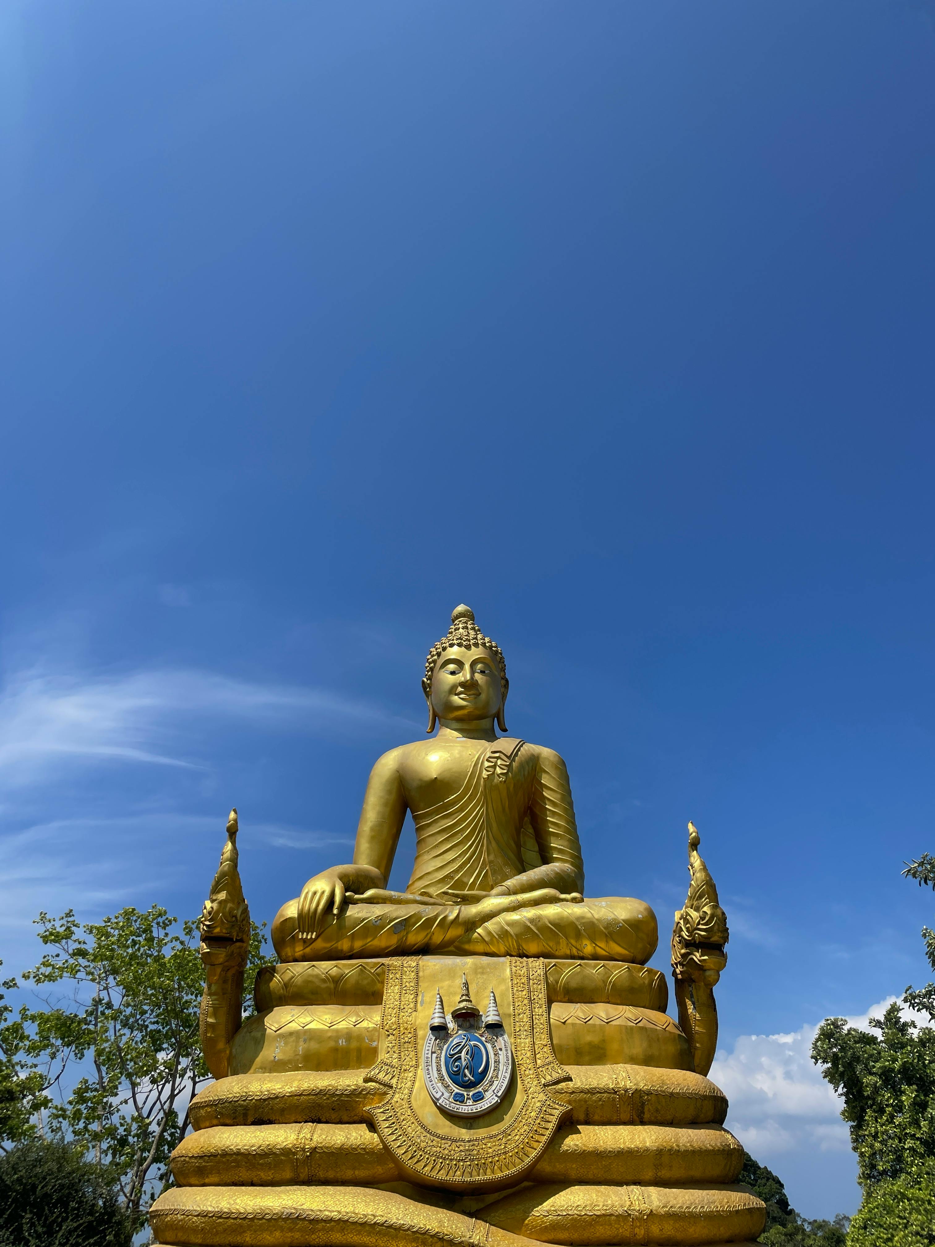 low angle shot of a gold buddha statue