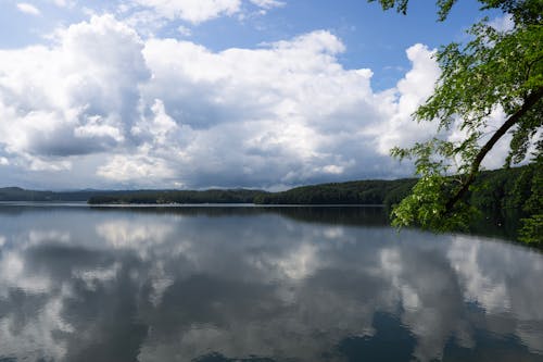 A lake with clouds and trees in the background