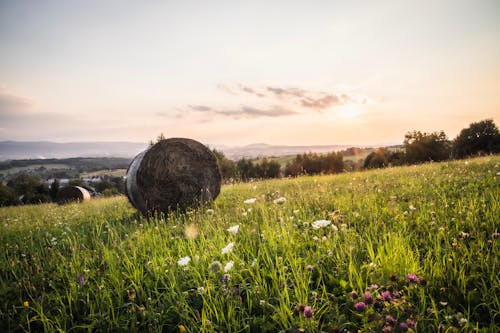 A hay bale in a field at sunset
