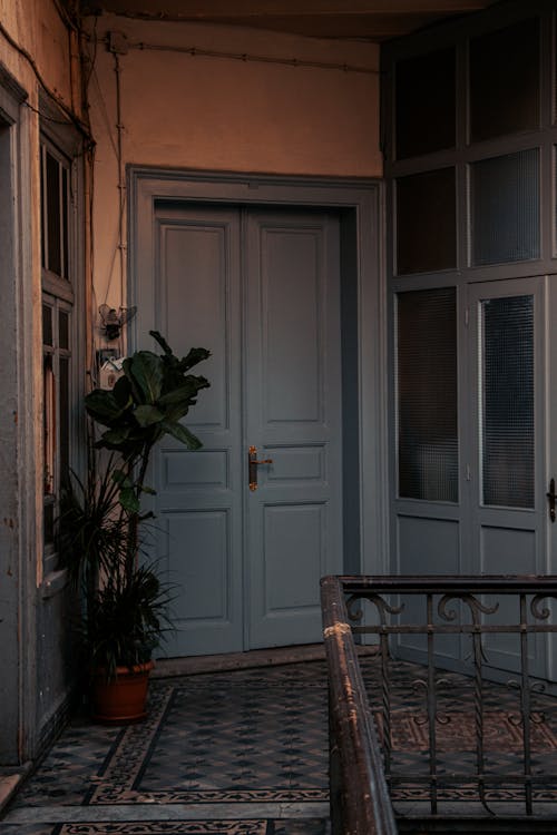 A door is open and a plant is in the window