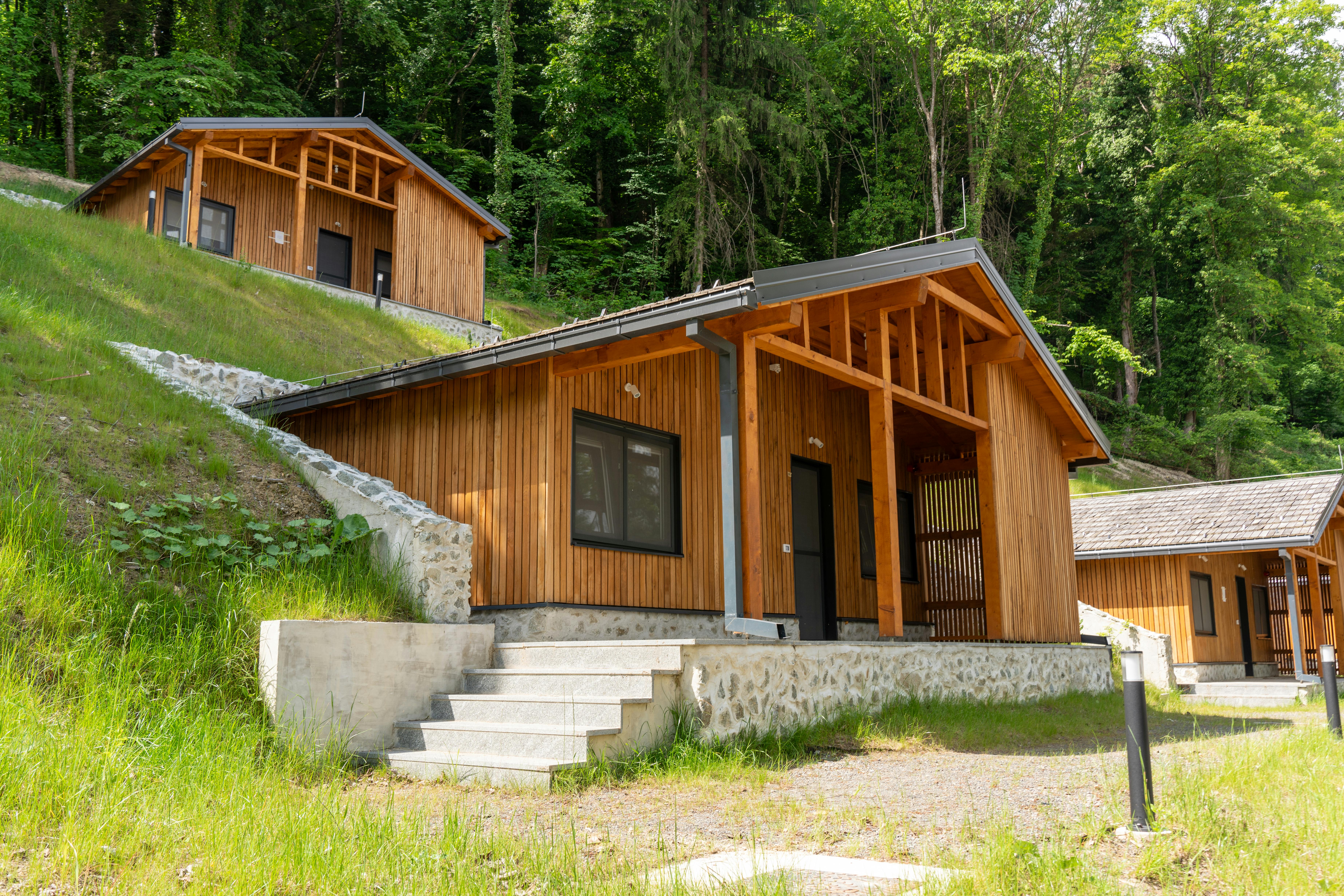 Cozy wooden cabins nestled in a lush forest, perfect for a rural vacation.