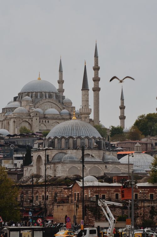 Free View of Suleymaniye Mosque and Istanbul's historic skyline with minarets and domes. Stock Photo