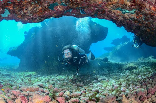 Hợp Nhất Với Fernando De Noronha