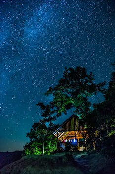 在充满活力、星光熠熠的夜空下，一间宁静的小屋灯火通明，映出树木的剪影