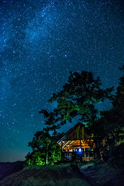 Free Illuminated House Beside Trees Under AStarry Night  Stock Photo