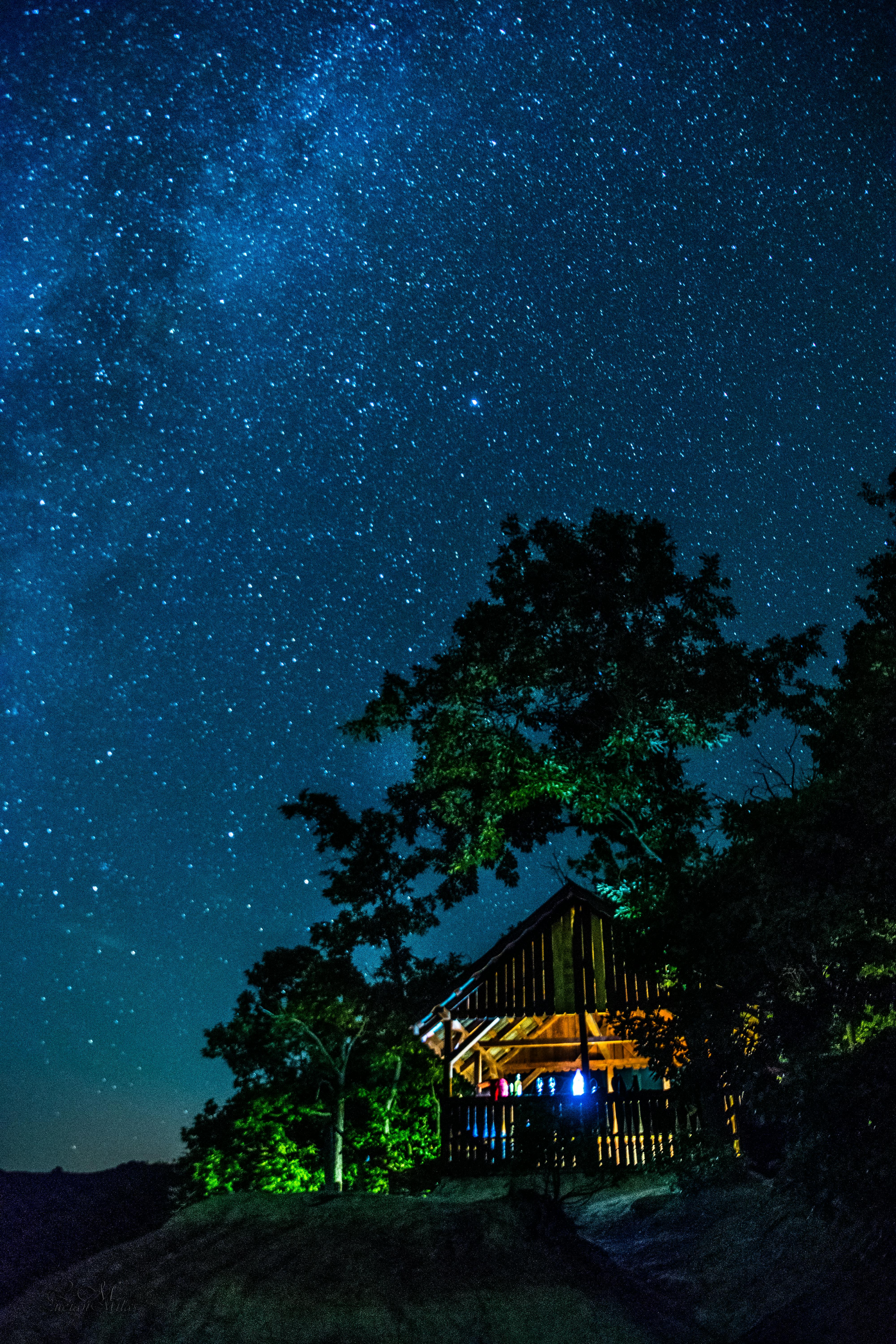 Stars in Night Sky · Free Stock Photo