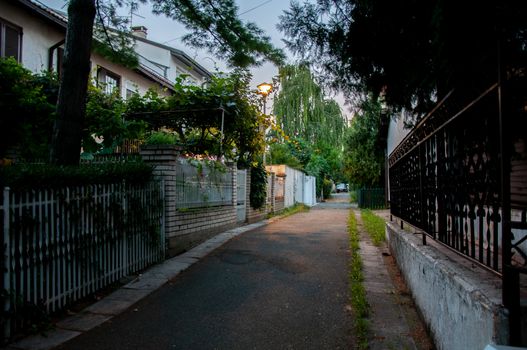 Charming residential alley in Belgrade at dusk, framed by trees and fences.