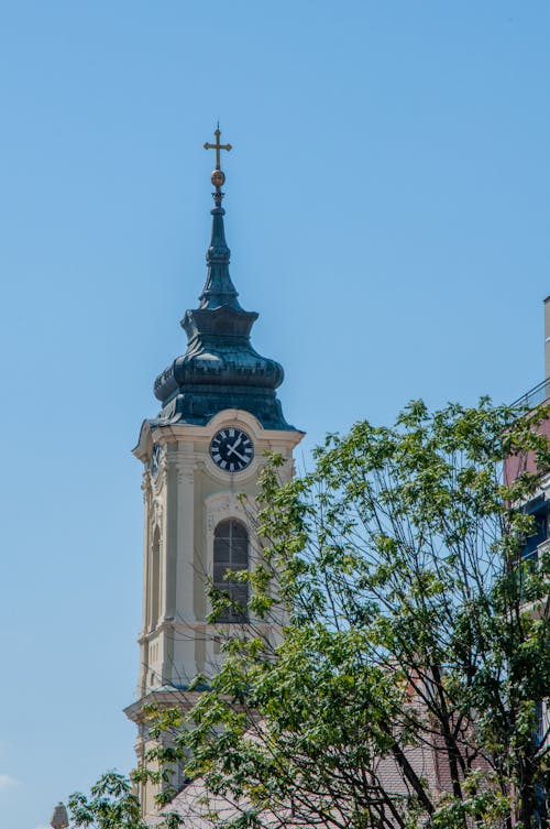 Δωρεάν στοκ φωτογραφιών με nikon, nikon d90, zemun