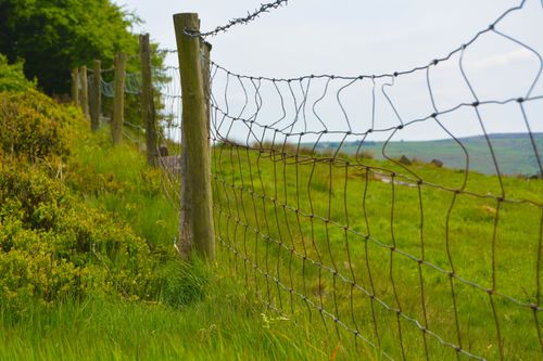 Free A winding barbed wire fence stretches across a lush, green countryside landscape. Stock Photo