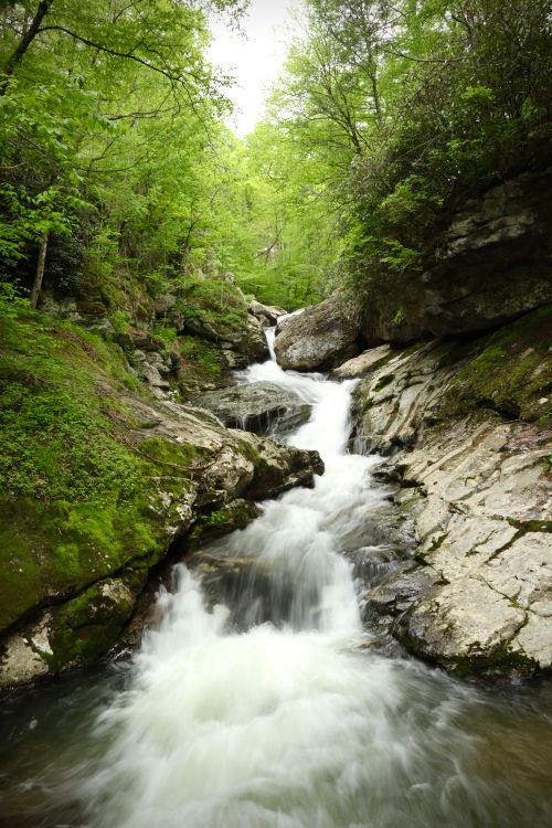 Free A tranquil waterfall cascading through a lush forest, surrounded by moss-covered rocks and vibrant greenery. Stock Photo