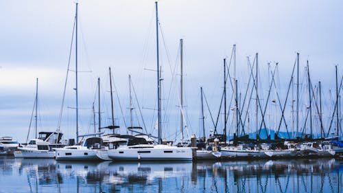 A marina with many boats docked in the water