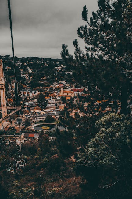 Septic System Repair near Palos Verdes Estates CA Septic System Repair near Palos Verdes Estates CA